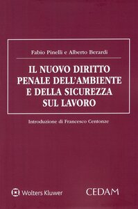 Il nuovo diritto penale dell'ambiente e della sicurezza sul lavoro