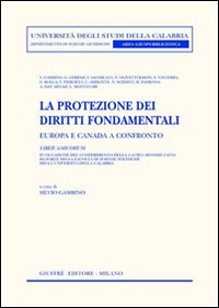 La protezione dei diritti fondamentali. Europa e Canada a confronto