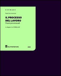 Il processo del lavoro