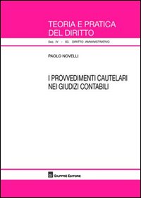 I provvedimenti cautelari nei giudizi contabili