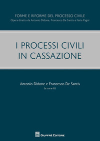 I processi civili in Cassazione