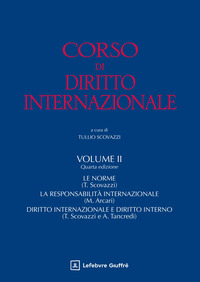 Corso di diritto internazionale. Vol. 2: Trattati, norme generali, adattamento-Responsabilità