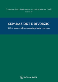 Separazione e divorzio. Effetti sostanziali, autonomia privata, processo