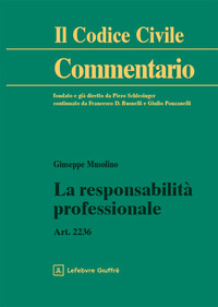 La responsabilità professionale