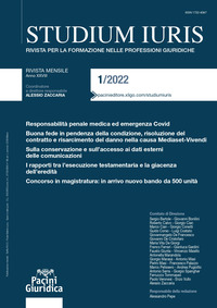 Studium iuris. Rivista per la formazione nelle professioni giuridiche. Vol. 1