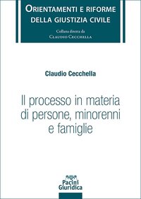 Il processo in materia di persone minorenni e famiglie