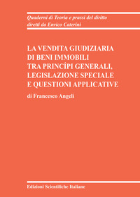 La vendita giudiziaria di beni immobili tra princípi generali, legislazione speciale e questioni applicative