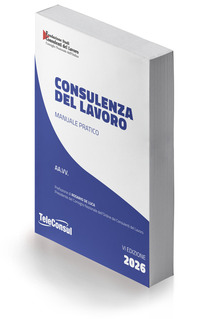 Consulenza del lavoro. Manuale pratico
