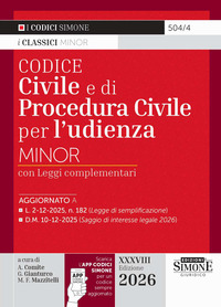 Codice civile e di procedura civile per l'udienza Minor
