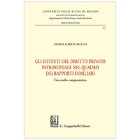 Gli istituti del diritto privato patrimoniale nel quadro dei rapporti familiari. Uno studio comparatistico