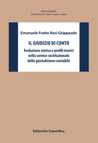 Il giudizio di conto. Evoluzione storica e profili teorici nella cornice costituzionale della giurisdizione contabile